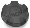 CALORSTAT by Vernet RC0083 Cap, radiator